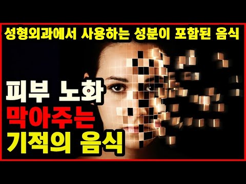 피부 노화 방지하는 기적의 음식들 [성형외과에서 처방하는 성분이 포함된 음식]