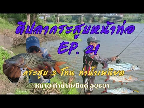 กระสูบ 3 โทนท่าน้ำเพนียด ตีปลากระสูบหน้าท่อ EP.21 หมาย ท่าน้ำเพนียด อยุธยา