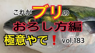 これがブリのおろし方編 vol.183