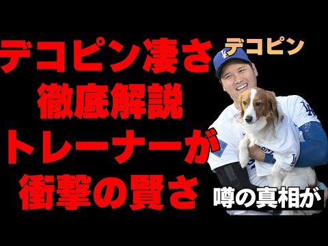 ドッグトレーナーが大谷翔平の愛犬・デコピンを徹底分析した驚きの結果が…！「あの犬はヤバすぎます…」世界の99.9999％の人より有名と言われた大谷家族の異次元の○○に世界が興奮！