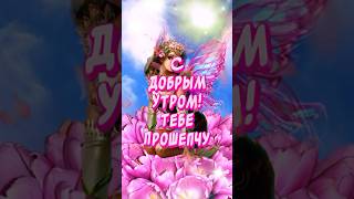 С Добрым утром Тебе прошепчу🕊️ Чтобы нежно Тебя разбудить💕