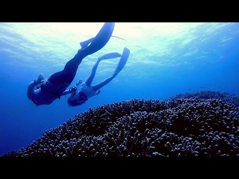 Freediving - It's coral forest! - Okinawa, Agenashiku, April 2015