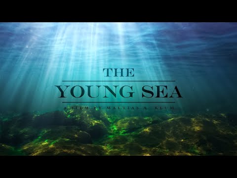 The Beauty Of The Baltic Sea | The Young Sea (2018) | Full Film