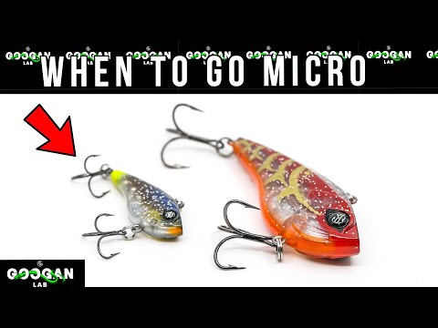 WHEN TO DOWNSIZE YOUR LURES! ( Bass Fishing Tips )