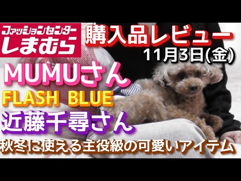 [Purchased by Shimamura] FLASH BLUE Chihiro Kondo New Purchased Product Review