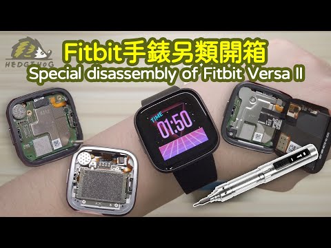 另類開箱-智慧型手錶Fitbit Versa 2/ Alternative Unboxing【Hedgehog刺蝟幫】