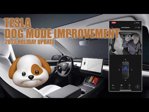 Tesla Holiday Update - Dog Mode Improvement