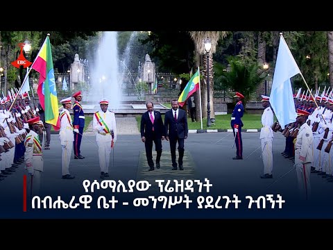 የሶማሊያው  ፕሬዝዳንት ሀሰን ሼክ መሃሙድ በብሔራዊ ቤተ - መንግሥት ያደረጉት ጉብኝት etv Etv | Ethiopia | News zena