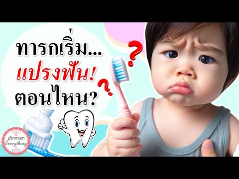 วิธีเลี้ยงเด็กทารก : ทารกเริ่มแปรงฟัน ได้ตอนไหน ? | ฟันทารก | เด็กทารก Everything