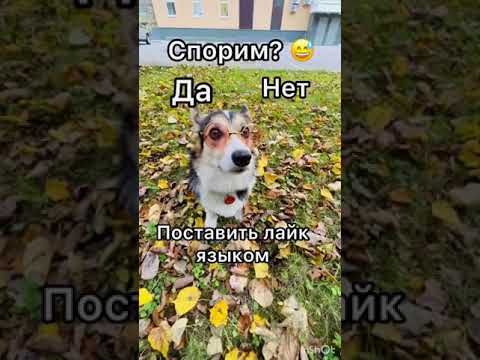 СПОРИМ НА КЛУБНИЧКУ ЧТО ТЫ НЕ СМОЖЕШЬ..