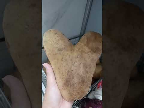 FRESH POTATO HEART SHAPE #shortsviral #asmr #shortsfeed #shortsvideo #shortvideo #shortsyoutube