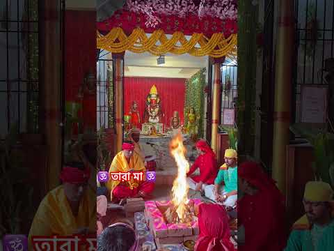 🕉️ তারা মা 🕉️ #kandi #murshidabad