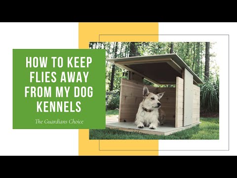 How to Keep Flies Away From my Dog Kennels | The Guardians Choice