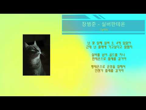 장범준 - 실버판테온 (노래가사)