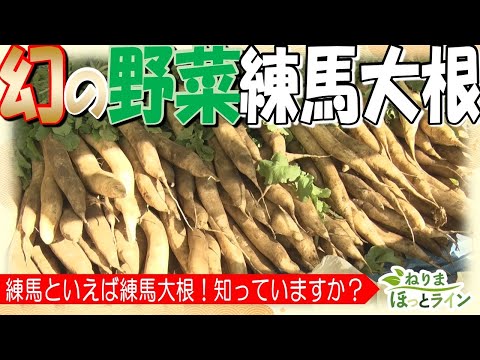 ねりまほっとライン（練馬といえば練馬大根！　知っていますか？練馬大根）令和５年度特別号④