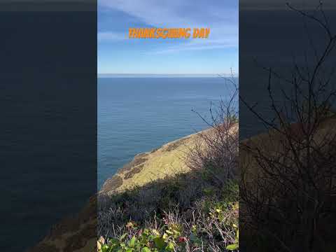 Otter Crest Loop Is A MUST! #travel #oregon #viralvideo