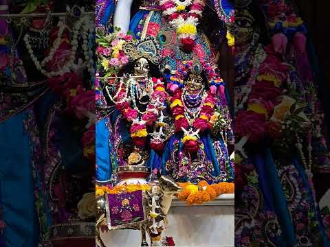 ♥️ Today's darshan of narasimha Deb, Radha Madhav, panchatatwa divine ♥️ 27/12/2024 #mayapuriskcon