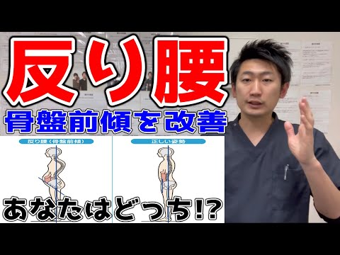 【姿勢】反り腰の解説とセルフケアについて公開【#ハリボディTV】