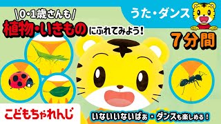 ＼赤ちゃんが喜ぶ！／お子さんとの時間が楽しくなる！おそとを探検！楽しみながら植物・いきものにふれよう0・１歳向け　しまじろうと遊ぼうアニメ