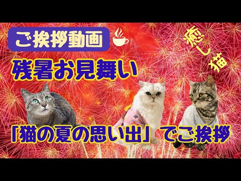 【ご挨拶動画】残暑お見舞いカード動画🐈‍⬛残暑お見舞い申し上げます「猫の夏の思い出」でご挨拶💐LINEで送る無料グリーティングカード動画