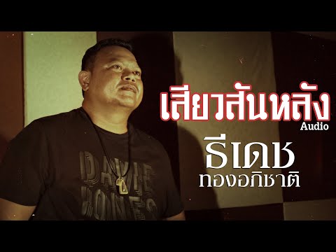 เสียวสันหลัง - ธีเดช ทองอภิชาติ [ Audio ]