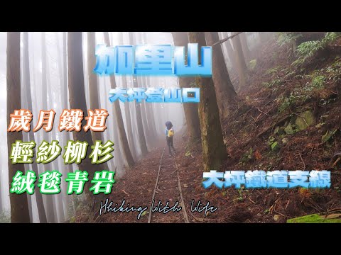 【加里山浪漫鐵道】大坪支線-霧中遺忘的軌跡