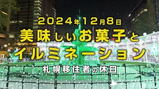 さっぽろホワイトイルミネーションに行きました｜札幌移住者の日常