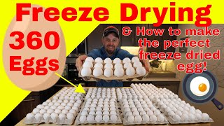 Freeze Drying 360 Eggs🍳 & How to make the Perfect Freeze Dried Egg! #freezedriedeggs