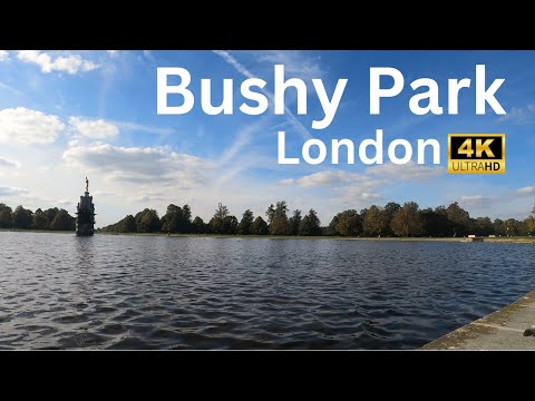 Why Haven’t You Visited Bushy Park Yet? Discover the Magic, Wildlife, Hidden Gems of London’s Oasis!