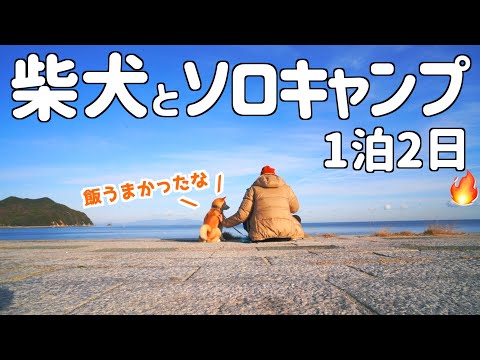 【柴犬と車中泊】ヤリスクロスで海辺ソロキャンプ！🥘