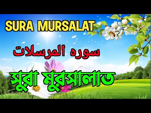 সু মধুর কন্ঠে কোরআন তেলাওয়াত | SURA MURSALAT | QURAN RECITATION |  QURAN TILAWAT (77)