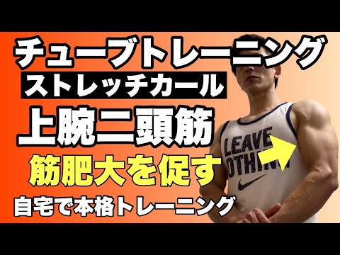 チューブトレーニング 腕(上腕二頭筋) 腕を太くしたいならこの種目追加で！