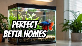 The Best Betta Tanks (and Why You Need One)