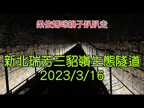 新北瑞芳三貂嶺生態隧道 2023/3/16