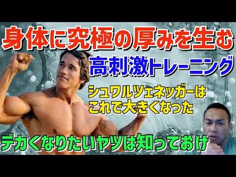 シュワルツェネッガーが愛した、驚くほど身体の厚みが出るトレーニング　筋トレ/山岸秀匡