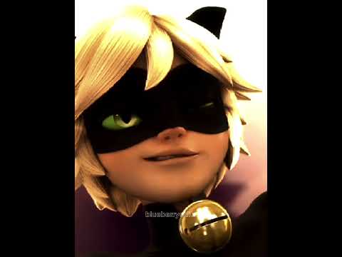 ChatNoir// Miraculous// Kitty Kat #chatnoir #miraculous #kittykat #megantheestalion #fypシ #edit