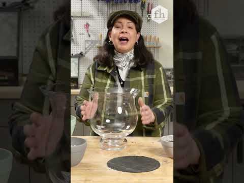 How to Make a Terrarium