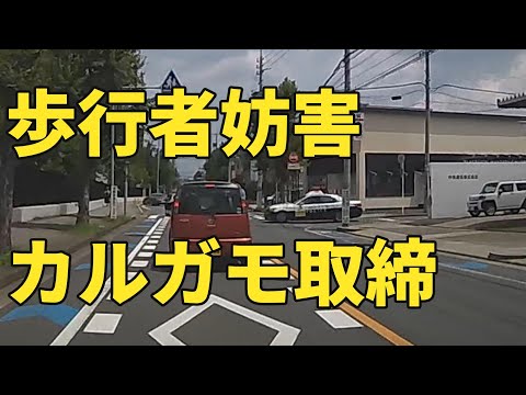 歩行者妨害　カルガモ走行するとまとめて捕まる・・・　#歩行者妨害 　#愛知県　#交通  　#交通違反取締