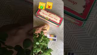 Mysore Sandal Soap pH test #shorts #phtest #shortvideo #phtesting