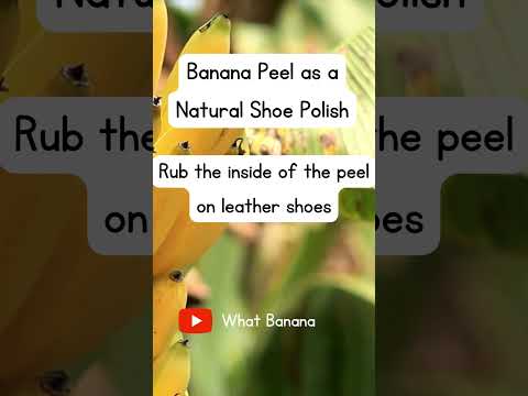 Banana Peel as a Natural Shoe Polish #fruitfuldelights #bananadelight  #bananafact