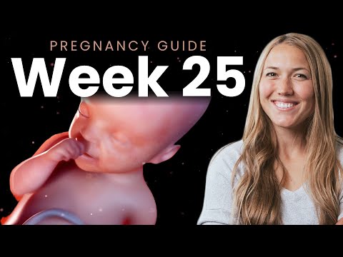 25 Weeks Pregnant | Week By Week Pregnancy