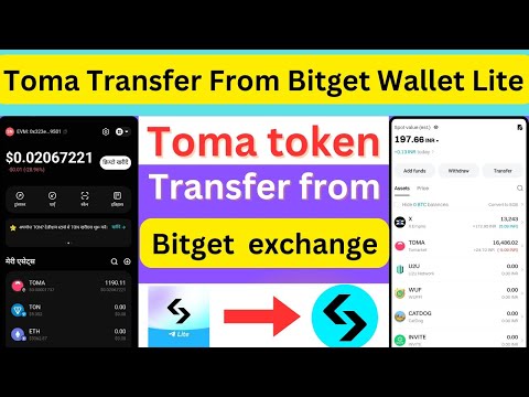 Toma Token Transfer From Bitget Wallet Lite To Bitget Exchange | Toma Token Transfer | Toma Transfer