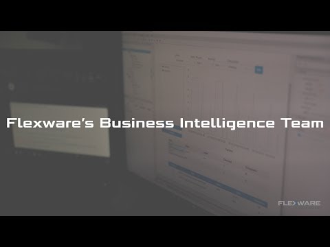 Meet Flexware’s Business Intelligence Team