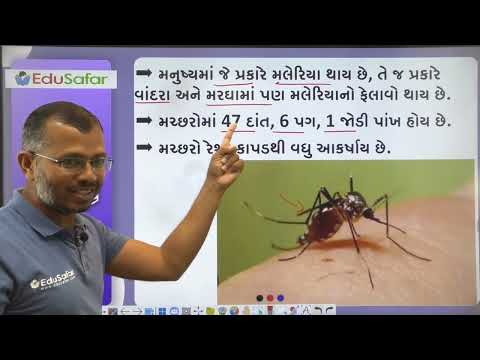 20 August 2023 Current Affairs in Gujarati By EduSafar