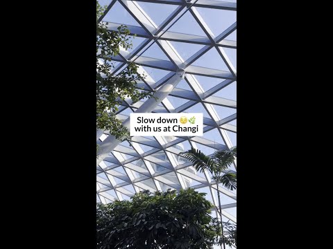 Feeling tired or burnt out? Take a break and rediscover how to slow down at Changi 💆🏻‍♀️🌿