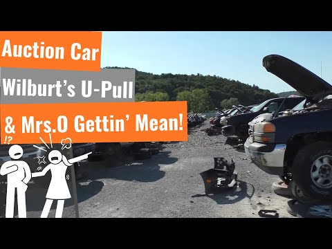 Kia Sorento - Auction Car Special, A Trip To Wilburt's And Mrs.O Lays Down The Law!