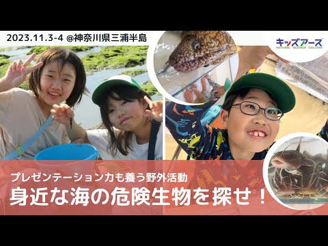 【プレゼン力も養う野外活動】身近な海の危険生物を探せ！