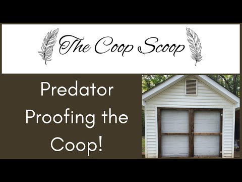 Predator Proof Chicken Coop