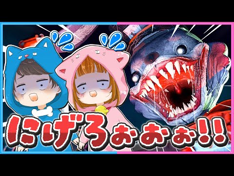 恐怖のおもちゃ工場？からの脱出😨😰【 ちろぴの 】【 Finding Frankie 】