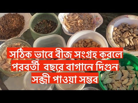 সঠিক ভাবে বীজ সংগ্রহ করলে পরবর্তী  বছরে বাগানে দিগুন সব্জী পাওয়া সম্ভব